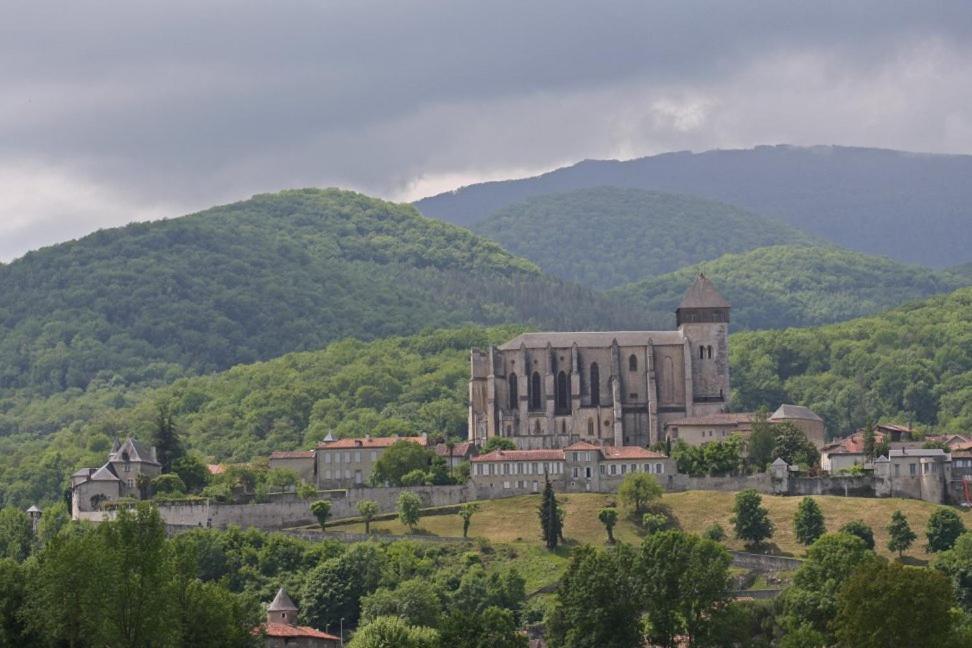 Chateau De Vidaussan Labroquere Zewnętrze zdjęcie