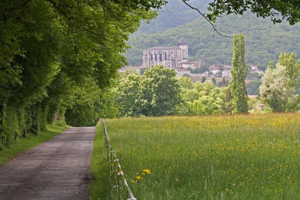 Chateau De Vidaussan Labroquere Zewnętrze zdjęcie